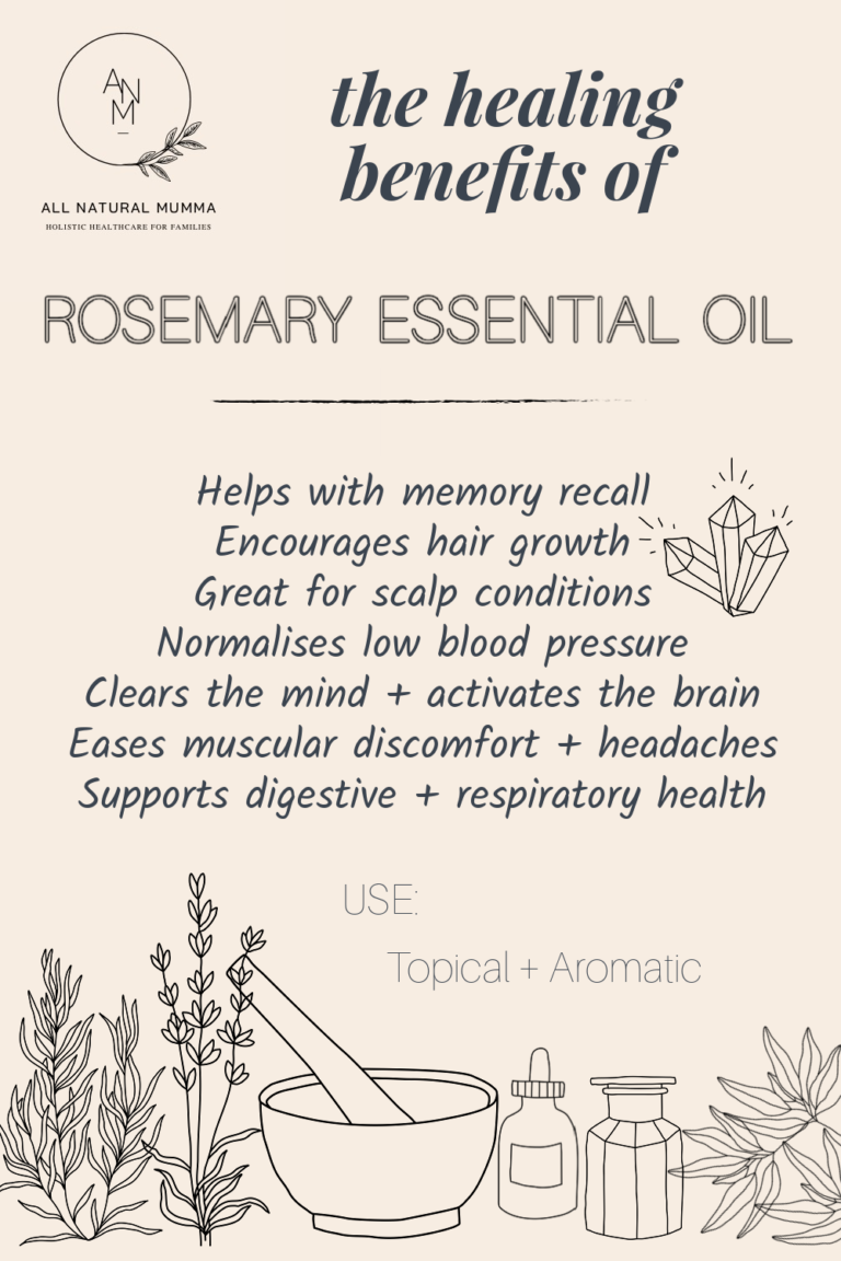 The Healing Benefits Of Rosemary Essential Oil All Natural Mumma 6899