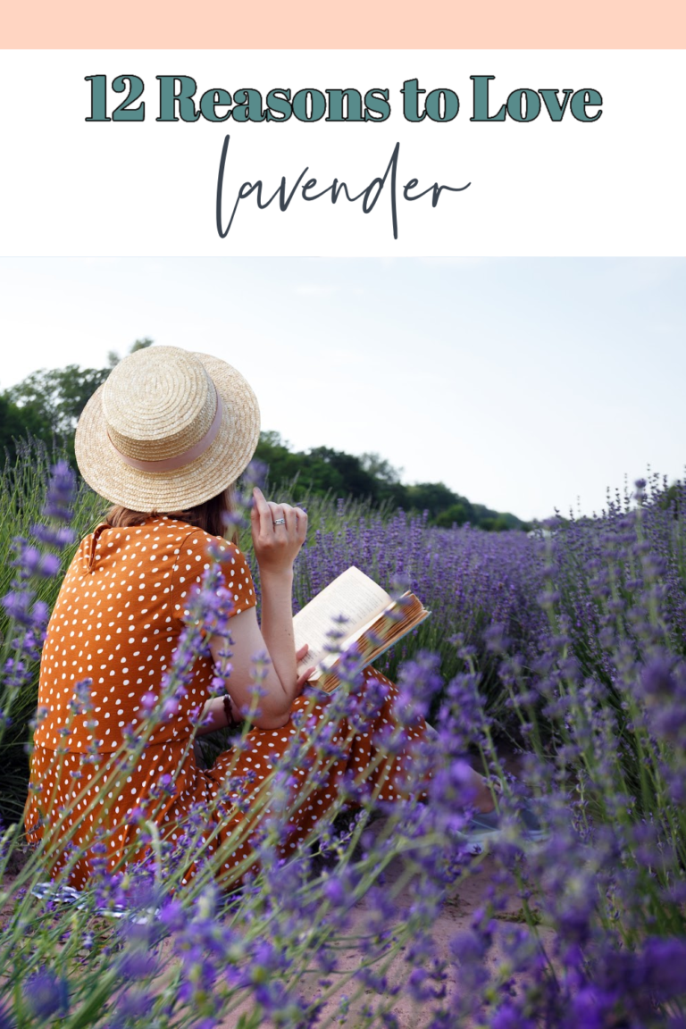 12 Reasons to Love Lavender Essential Oil