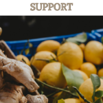 organic lemon and ginger