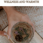 herbal medicine Winter wellness herbal tea