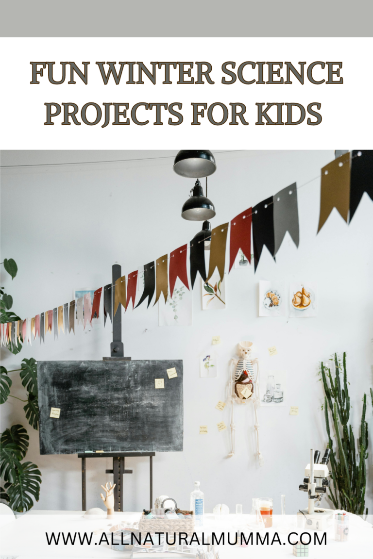 Winter Science Experiments: Easy and Fun Science Projects for Kids Winter theme home school class room