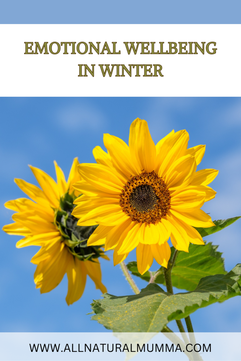 Winter Mental Wellness: Strategies for Maintaining Emotional Wellbeing bright blue sky happy sunflowers