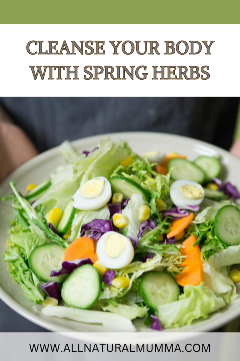 spring salad with herbs and spring vegetables