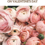 roses pink pastel shades floral valentines